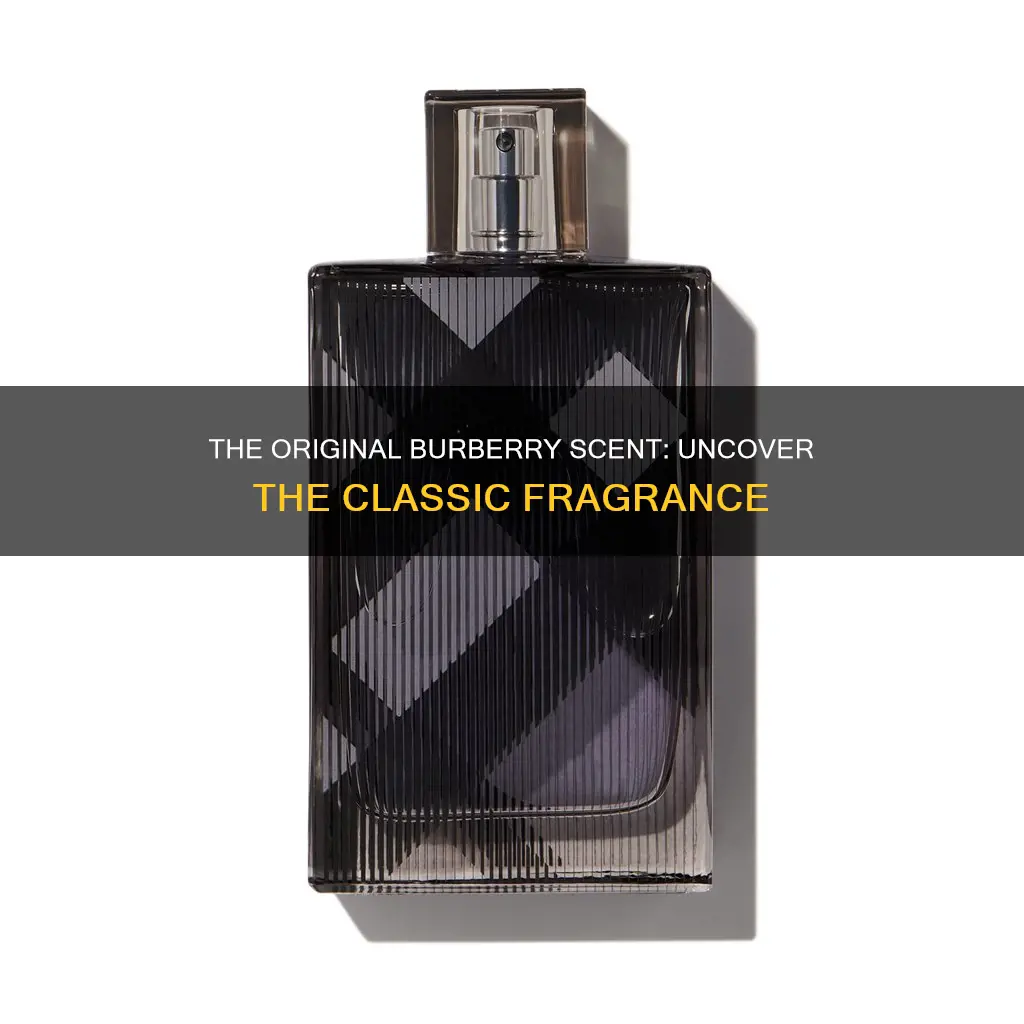 what is the original burberry cologne