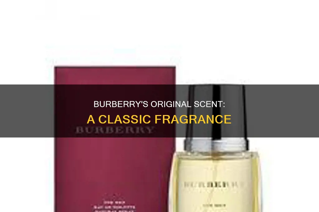 what is the original burberry perfume
