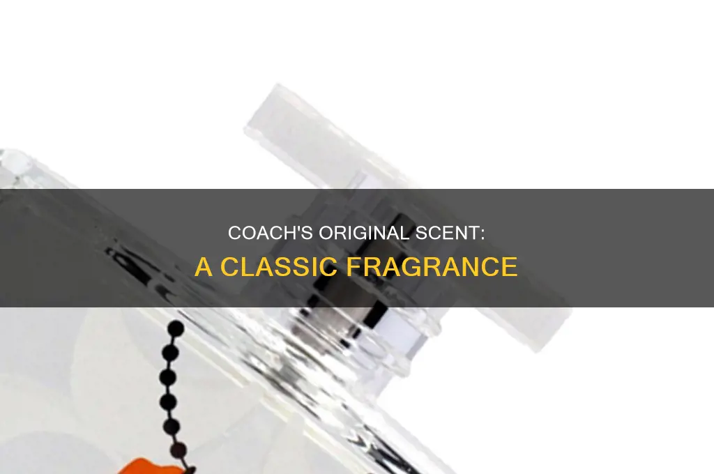 what is the original coach perfume