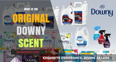 Discovering the Classic Downy Scent: A Nostalgic Fragrance Journey