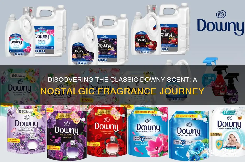 what is the original downy scent
