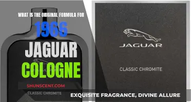 The Original Scent: Jaguar Cologne's 1966 Formula