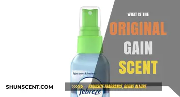 Unveiling the Original Gain Scent: A Fresh Fragrance Journey