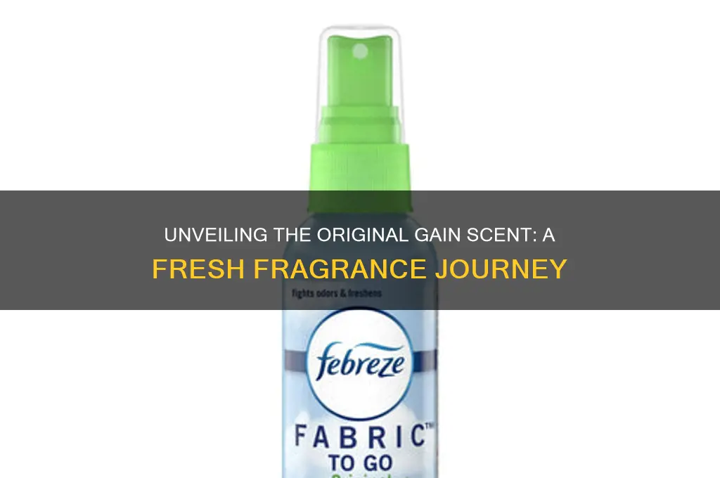 what is the original gain scent