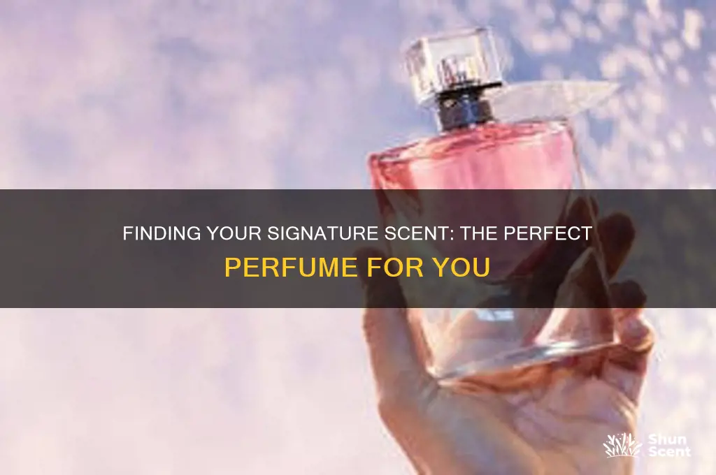 what is the perfect perfume for me