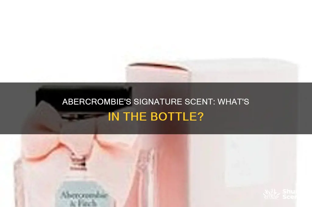 what is the perfume abercrombie sprays on their clothes