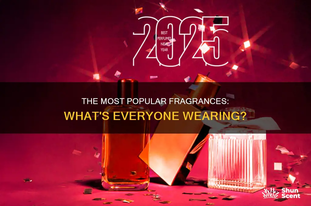 what is the perfume everyone is wearing