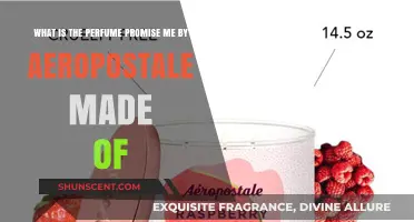 Promise Me Perfume: Aeropostale's Fragrance Notes Revealed