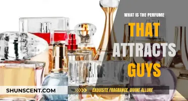 Scents Men Love: How to Pick a Perfume