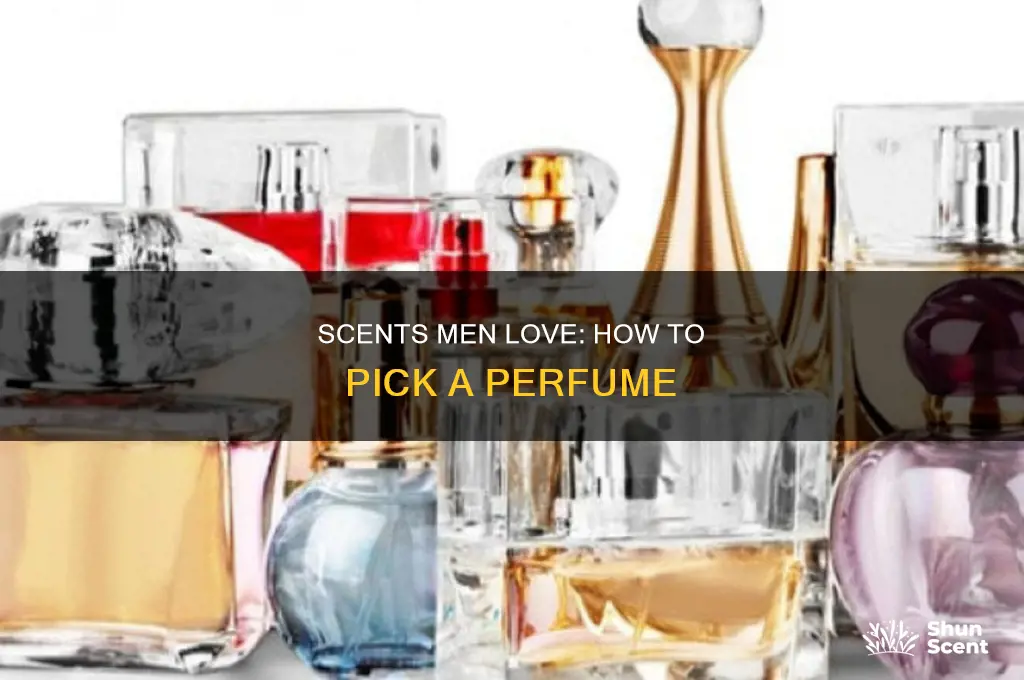 what is the perfume that attracts guys