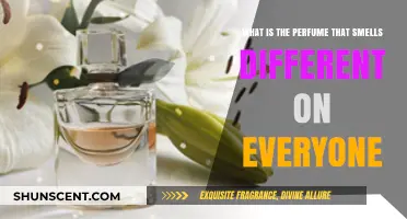 The Mystery of Scent: Why Perfumes Smell Unique on You