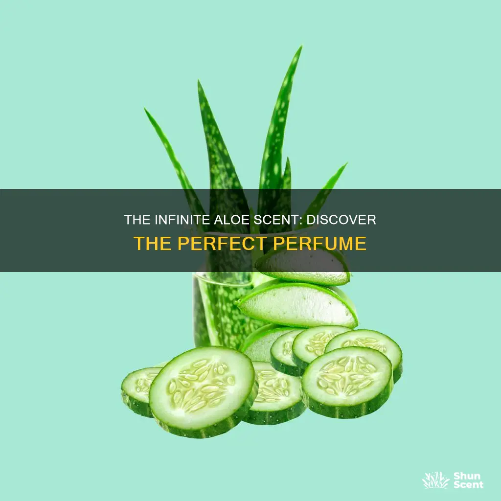 what is the perfume that smells like infinite aloe
