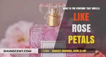 Rose Petals: Which Perfumes Smell Like Them?