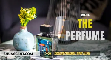 The Art of Perfume: A Guide to Scents