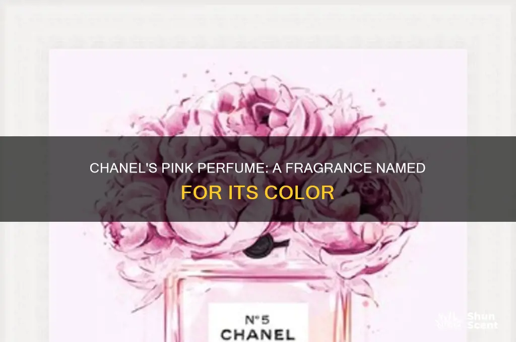 what is the pink chanel perfume called