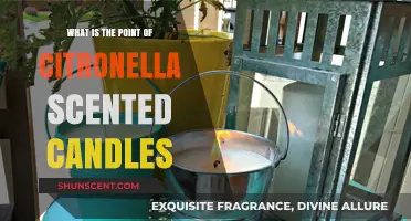 Citronella Candles: Repelling Bugs or Just a Pleasant Scent?