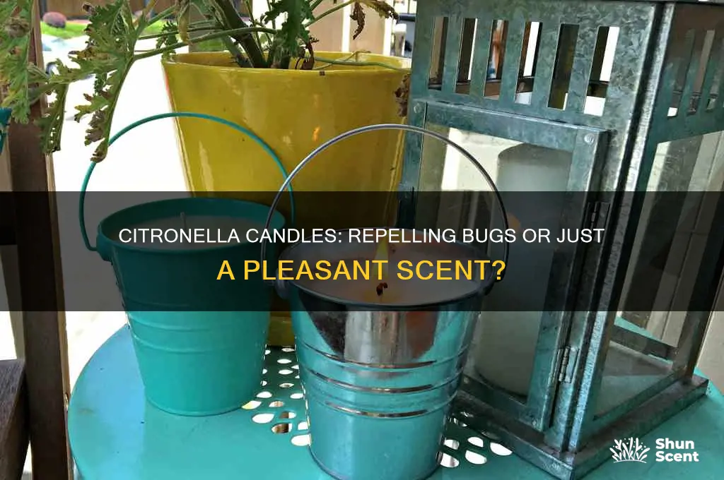 what is the point of citronella scented candles