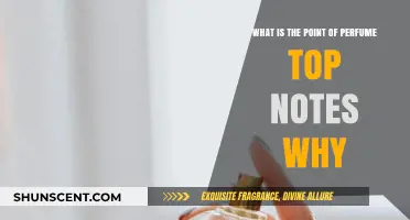 The Art of Perfume: Why Top Notes Matter
