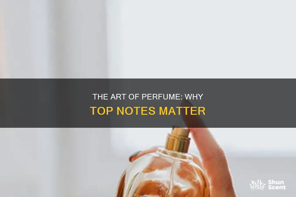 what is the point of perfume top notes why