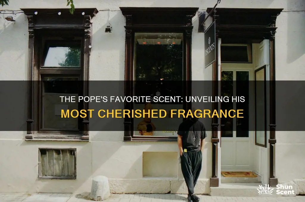 what is the pope