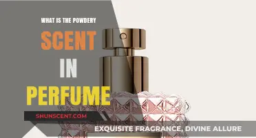 Powdery Perfumes: Soft, Warm, and Comforting Scents