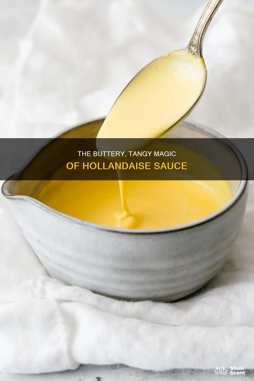 what is the predominant flavor and aroma of hollandaise