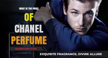 Chanel Perfume: How Much Does It Cost?