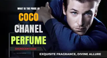 Chanel Perfume: How Much Does It Cost?