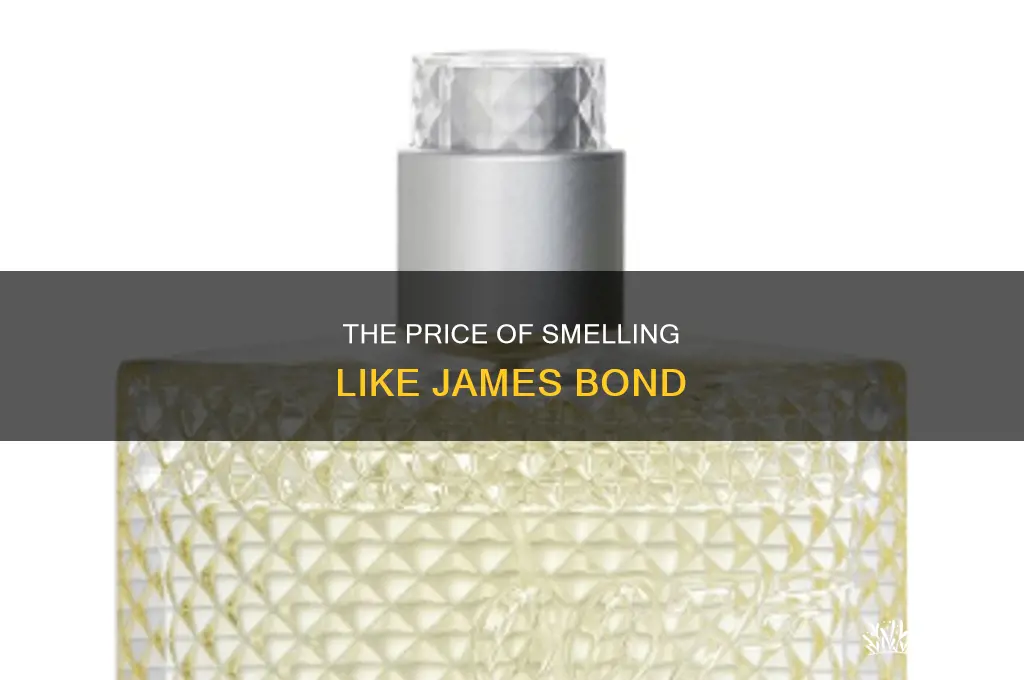 what is the price of the perfume 007