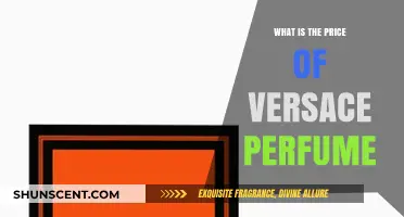 Versace Perfume: How Much Does it Cost?