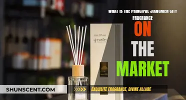 Jiangmen City Fragrance: Principal Scents on the Market