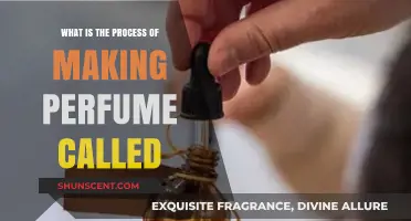 The Art of Creating Scents: Perfume-Making Process