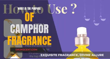 Camphor Fragrance: Ancient Remedy, Modern Aromatherapy