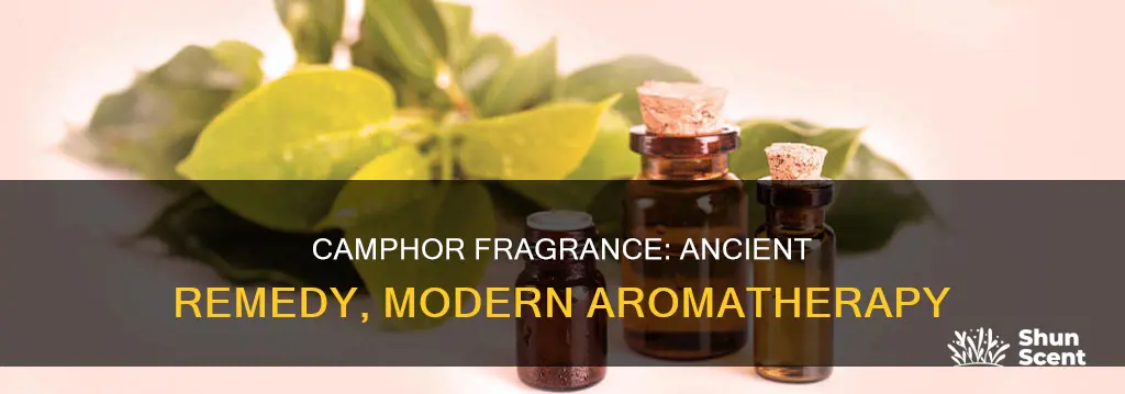 what is the purpose of camphor fragrance