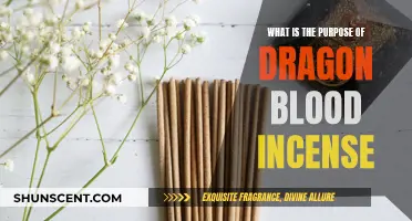 Explore Dragon Blood Incense's Mystical Powers and Purposes