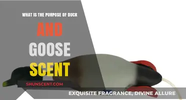 Understanding Duck and Goose Scent: Purpose and Benefits Explained