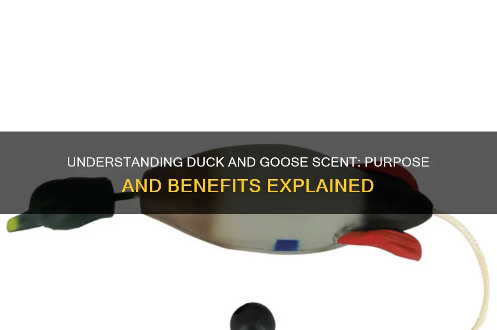 what is the purpose of duck and goose scent