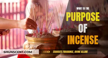 Incense: Ancient Rituals, Modern Relaxation Techniques