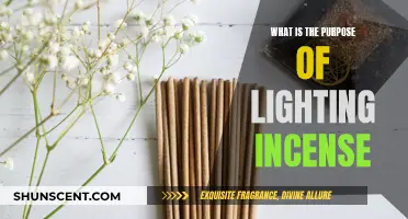 Incense Lighting: Ancient Rituals for Modern Mindfulness