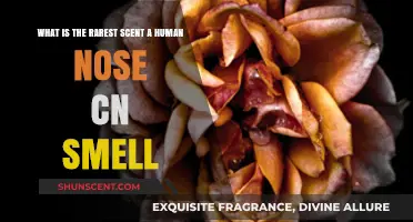 Unveiling the Elusive: Exploring the Rarest Scent Detectable by Humans