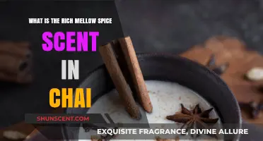 Discovering the Rich, Mellow Spice Scent in Authentic Chai