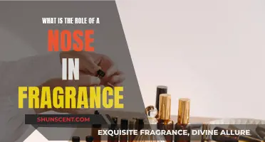The Nose Knows: Unlocking Fragrance Secrets