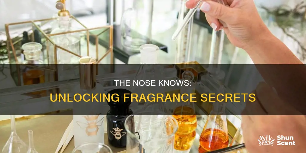 what is the role of a nose in fragrance