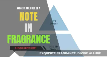 The Magic of Notes in Fragrance: Unlocking the Secrets