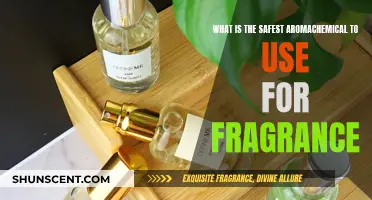 Safe Aromachemicals: Fragrance Formulas and Your Health