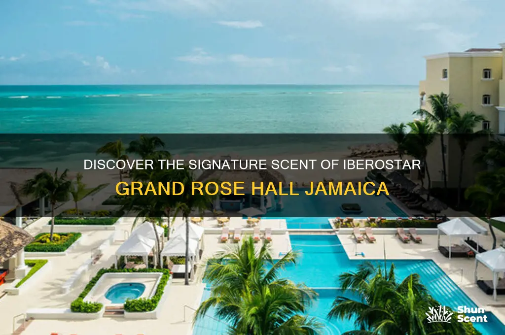 what is the scent a iberostar grand rose hall jamaica