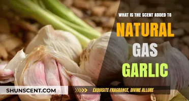 Why Natural Gas Smells Like Garlic: The Surprising Scent Additive Explained