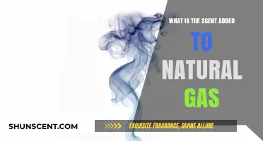 Unmasking the Odor: Why Natural Gas Smells Like Rotten Eggs
