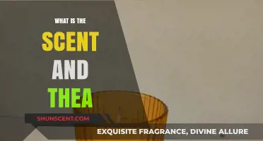 Exploring the Aromatic World of Scent and Thea: A Sensory Journey