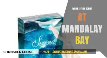 Unveiling Mandalay Bay's Signature Scent: A Fragrant Mystery Explored